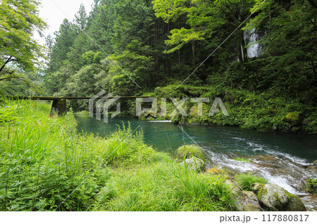 高知県越知町　堂林の滝 117880817