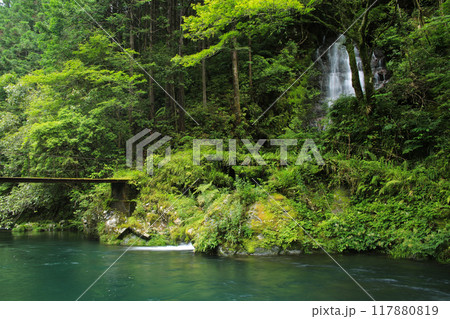 高知県越知町　堂林の滝 117880819