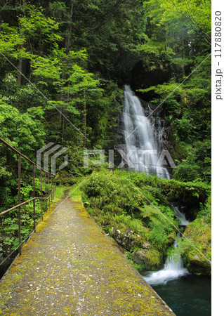 高知県越知町　堂林の滝 117880820