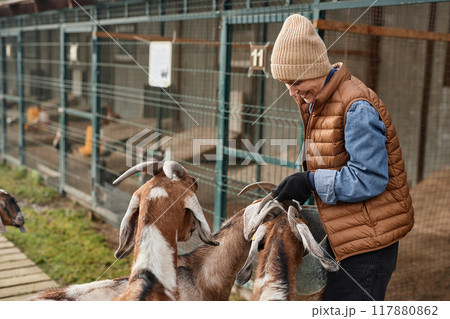 Side view shot of smiling mature female farmer in warm clothes feeding domestic goats from metal bucket against farm cages during autumn season, copy space Side view shot of smiling mature female farmer in warm clothes feeding domestic goats from metal bucket against farm cages during autumn season, copy space 117880862