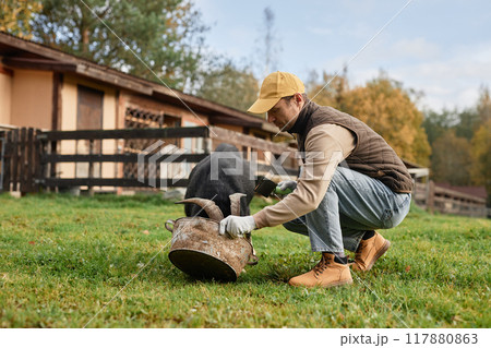 Side view of adult male farmer in warm clothes feeding black goat as animal eating from round trough on green meadow at countryside farm during autumn season, copy space 117880863