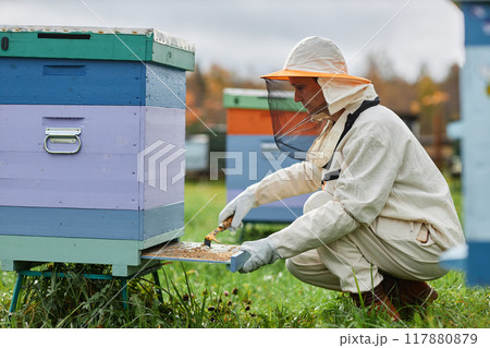 Side view of serious mature female beekeeper in protective bee suit cleaning wooden colorful beehive scraping dirt off bottom board at apiary farm Side view of serious mature female beekeeper in protective bee suit cleaning wooden colorful beehive scraping dirt off bottom board at apiary farm 117880879
