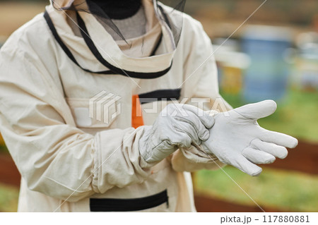 Cropped shot of unrecognizable beekeeper in protective bee suit putting on white gloves before honey harvesting at apiary farm 117880881
