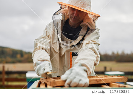 Cropped shot of middle aged male beekeeper in protective bee suit against grey autumn sky working with hive frame during honey harvesting at apiary farm, copy space Cropped shot of middle aged male beekeeper in protective bee suit against grey autumn sky working with hive frame during honey harvesting at apiary farm, copy space 117880882