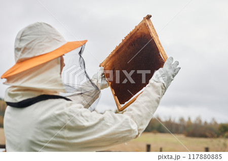 Back view of unrecognizable apiarist in protective suit inspecting hive frame holding honeycomb against grey autumn sky at apiary farm, copy space 117880885