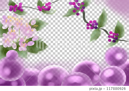 紫式部の花と実のカード1 117880926