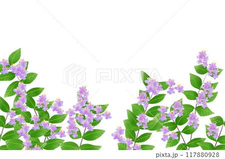 紫式部の花のカード1 117880928