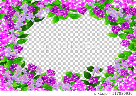 紫式部花果卡2 紫式部花果卡2 117880930