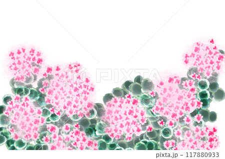 ミセバヤの花のカード2 ミセバヤの花のカード2 117880933