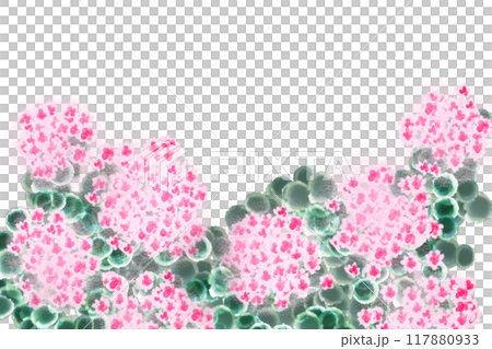 Misebaya flower card 2 117880933