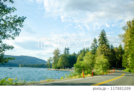 Cultus lake park road lined with pine trees in Chilliwack, Fraser Valley, BC, Canada Cultus lake park road lined with pine trees in Chilliwack, Fraser Valley, BC, Canada 117881209