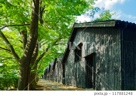 山居倉庫とケヤキ並木 山居倉庫とケヤキ並木 117881248