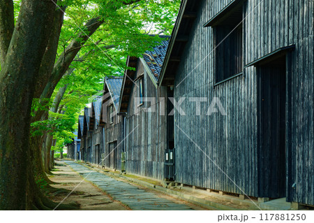 山居倉庫とケヤキ並木 117881250