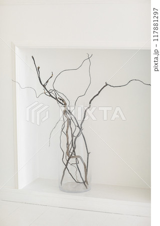 Dried natural tree branches in transparent glass vase in white wall niche. Natural minimalistic decorations with twigs for modern design interior. Vertical image. Still life scene Dried natural tree branches in transparent glass vase in white wall niche. Natural minimalistic decorations with twigs for modern design interior. Vertical image. Still life scene 117881297