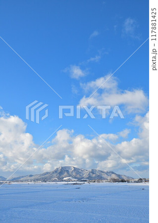 雪の弥彦山と角田山(新潟県) 雪の弥彦山と角田山(新潟県) 117881425