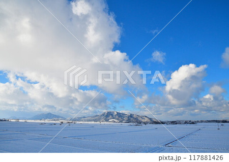 雪の弥彦山と角田山(新潟県) 雪の弥彦山と角田山(新潟県) 117881426