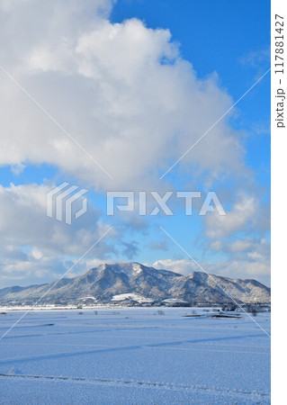 雪の弥彦山と角田山(新潟県) 雪の弥彦山と角田山(新潟県) 117881427