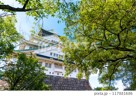 木々の間から大阪城天守閣を望む景色 117881686