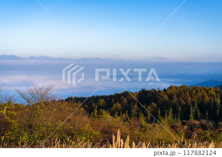 【雲海素材】秋の高ボッチ高原から見る北アルプス方面の雲海【長野県】 117882124