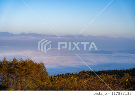 【雲海素材】秋の高ボッチ高原から見る北アルプス方面の雲海【長野県】 117882135