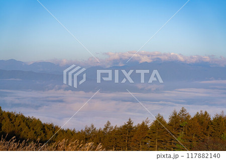 【雲海素材】秋の高ボッチ高原から見る北アルプス方面の雲海【長野県】 117882140