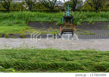 茶色く濁った水害増水した河川 茶色く濁った水害増水した河川 117883000