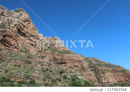 南アフリカ西ケープ州ケープタウン（Chapman's Peak Drive） 117883588