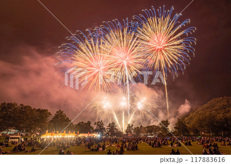 北海道の花火大会と花火を眺める観客 北海道の花火大会と花火を眺める観客 117883616