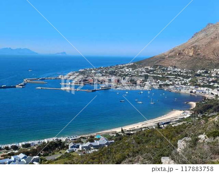 南アフリカ西ケープ州ケープタウン（サイモンズタウン） 117883758