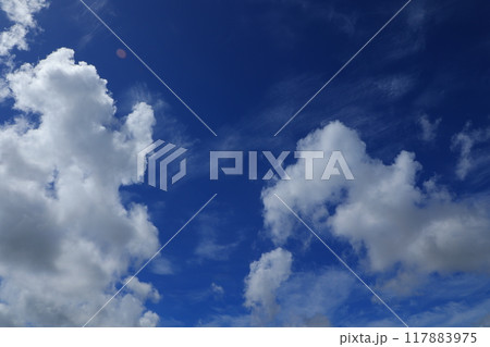 青空に浮かぶ雲 青空に浮かぶ雲 117883975