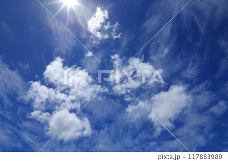 青空に浮かぶ雲 117883989