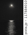 月夜　茨城県日立市　から 117884010