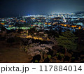 夜景　茨城県日立市　かみね公園　から 117884014