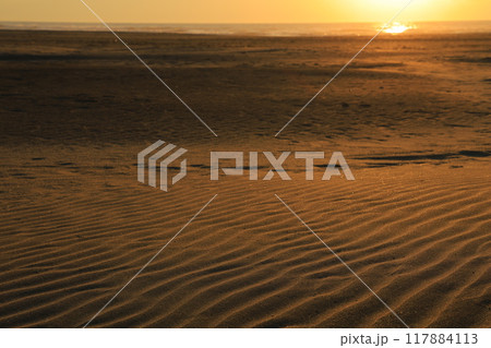 九十九里海岸から見た朝焼け 117884113