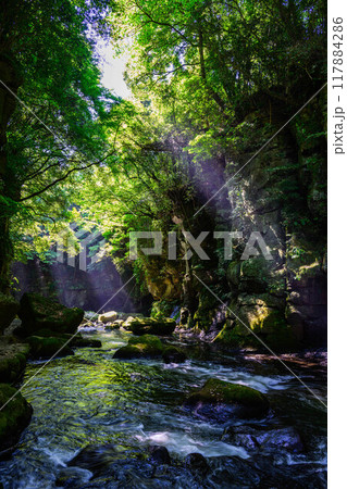 緑の渓谷 117884286