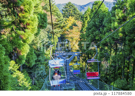 高尾山　エコーリフト　山上駅から下り　秋の風景 117884580