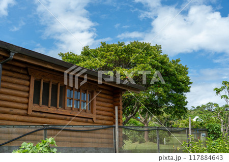 緑に囲まれた小屋 117884643