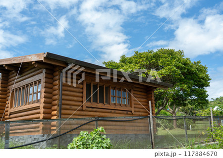 緑に囲まれた小屋 117884670