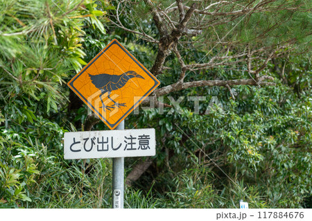 ヤンバルクイナ 飛び出し注意の標識 ヤンバルクイナ 飛び出し注意の標識 117884676