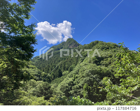 真夏の低山を見上げる 真夏の低山を見上げる 117884716