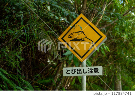 飛び出し注意の標識 117884741