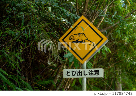 飛び出し注意の標識 117884742