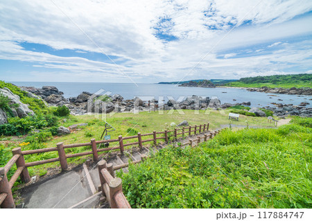 「青森県」みちのく潮風トレイル　中須賀海岸・種差海岸　夏 117884747