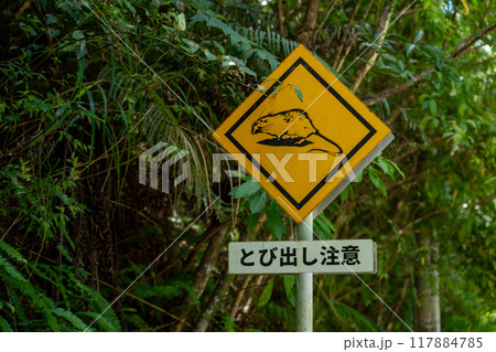 飛び出し注意の標識 117884785