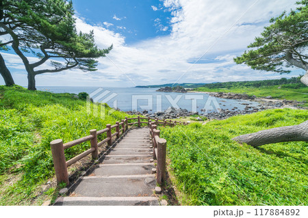 「青森県」種差海岸 みちのく潮風トレイル・中須賀海岸 夏 「青森県」種差海岸 みちのく潮風トレイル・中須賀海岸 夏 117884892