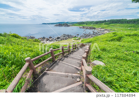 「青森県」種差海岸 みちのく潮風トレイル・中須賀海岸 夏 「青森県」種差海岸 みちのく潮風トレイル・中須賀海岸 夏 117884894