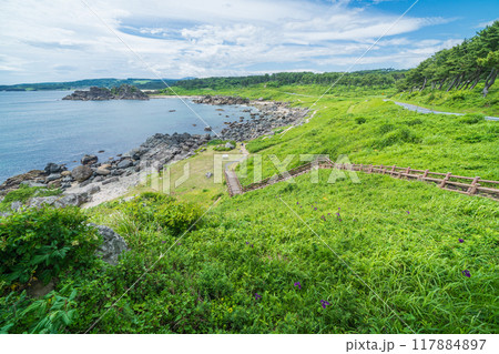 「青森県」種差海岸　みちのく潮風トレイル・中須賀海岸　夏 117884897