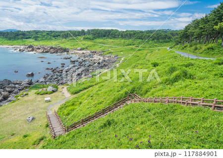 「青森県」種差海岸 みちのく潮風トレイル・中須賀海岸 夏 「青森県」種差海岸 みちのく潮風トレイル・中須賀海岸 夏 117884901