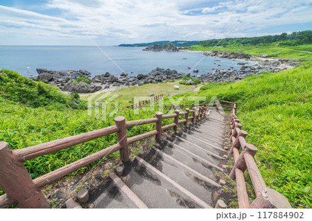 「青森県」種差海岸　みちのく潮風トレイル・中須賀海岸　夏 117884902