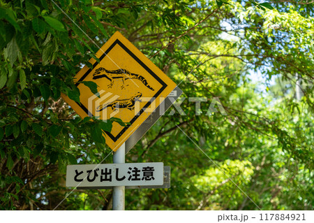 飛び出し注意の標識 飛び出し注意の標識 117884921